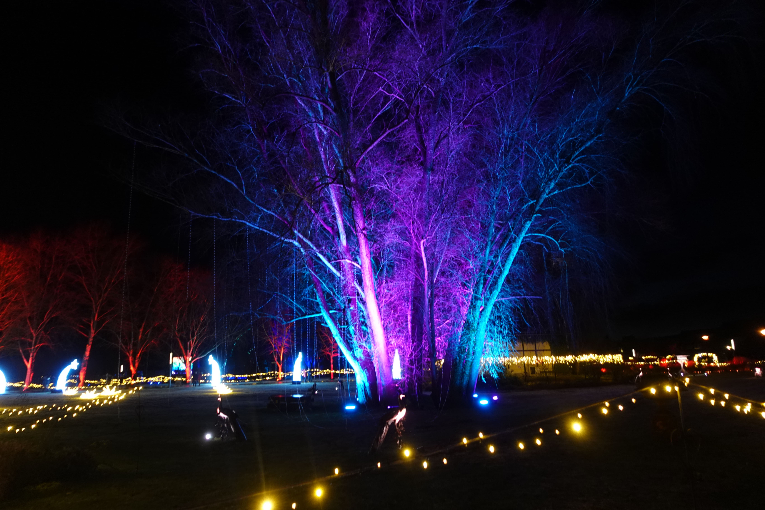 Lichterzauber in Beelitz2024