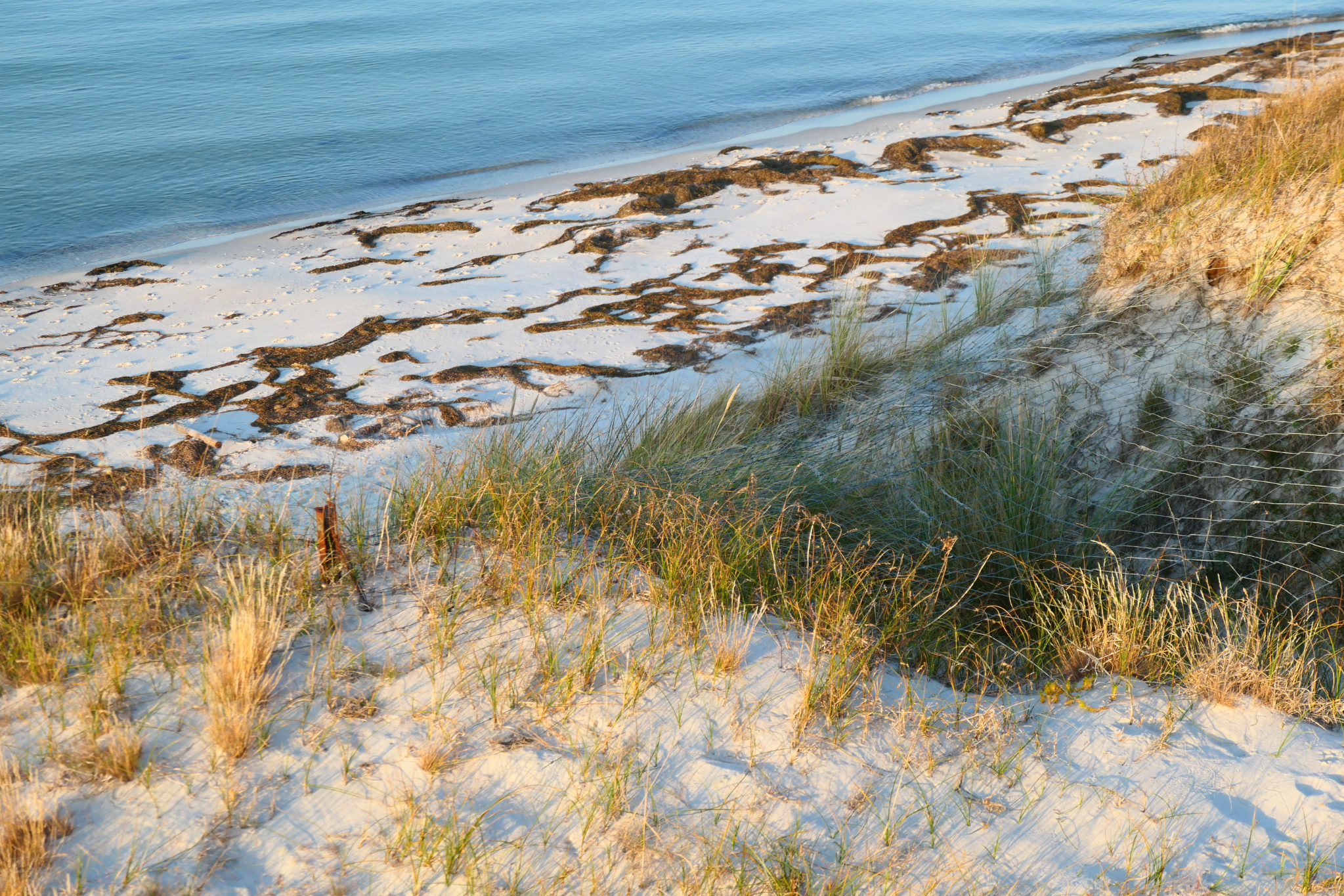 Zingst 16