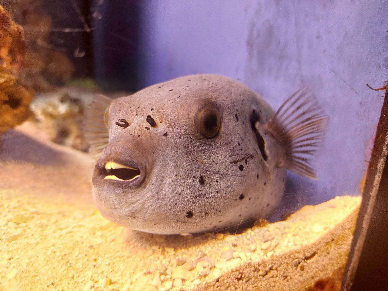 Photo 2025 07 26 10 02 18