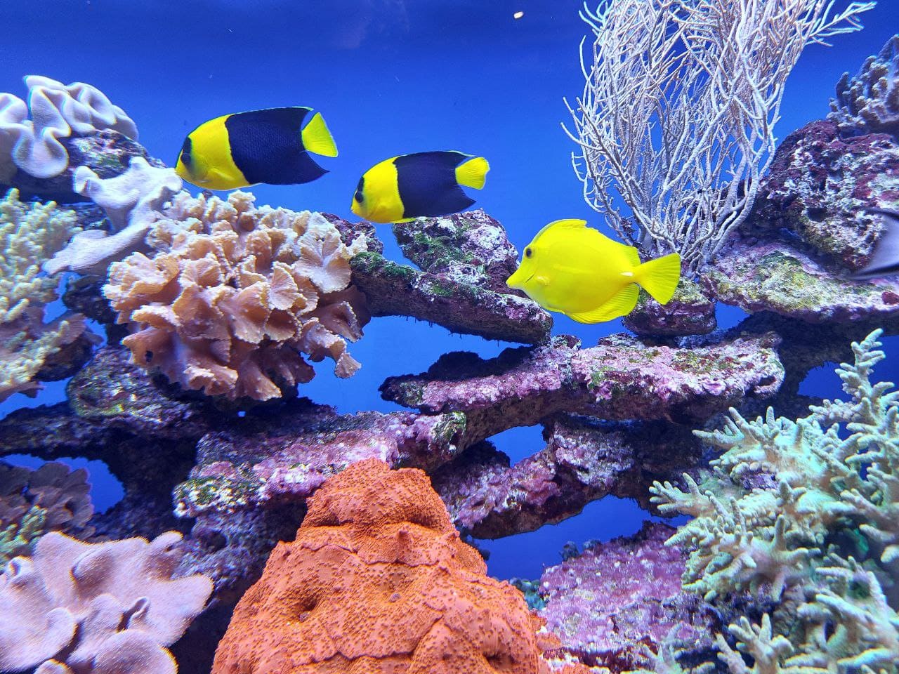 Photo 2025 07 26 10 02 24