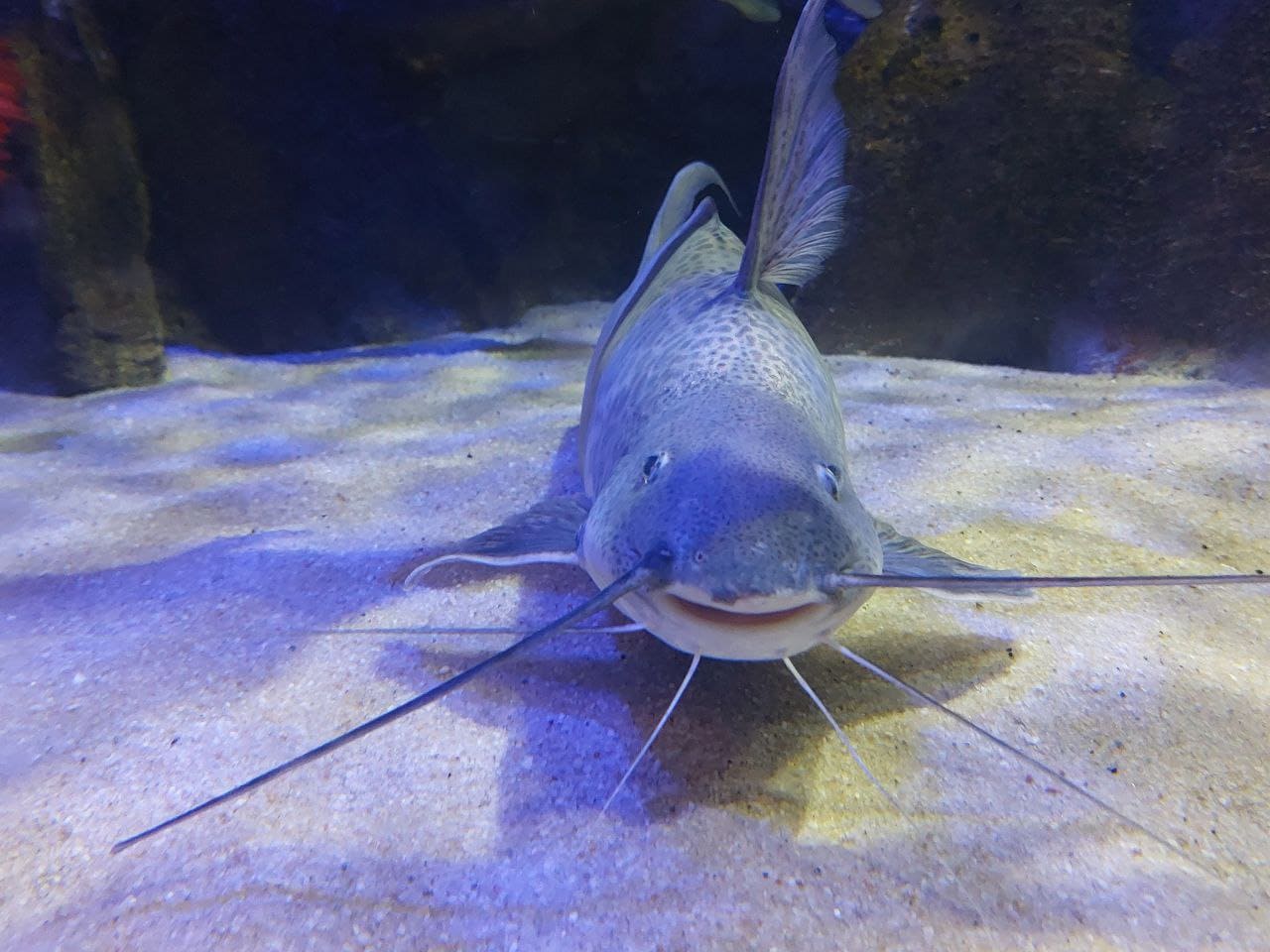 Photo 2025 07 26 10 02 29