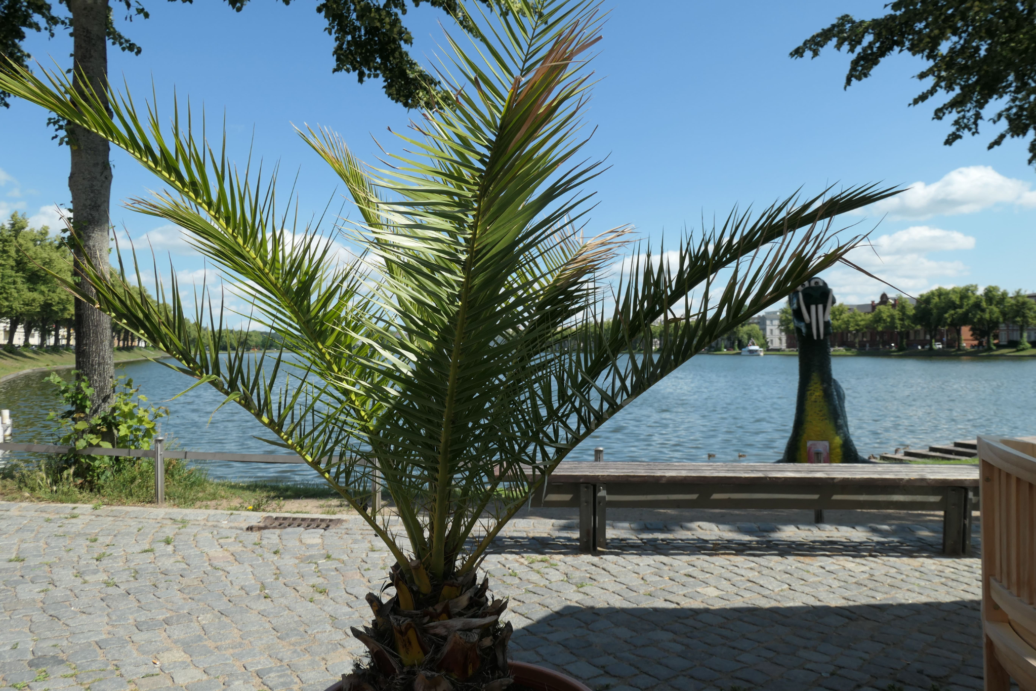 Schwerin Weltkulturerbe 05