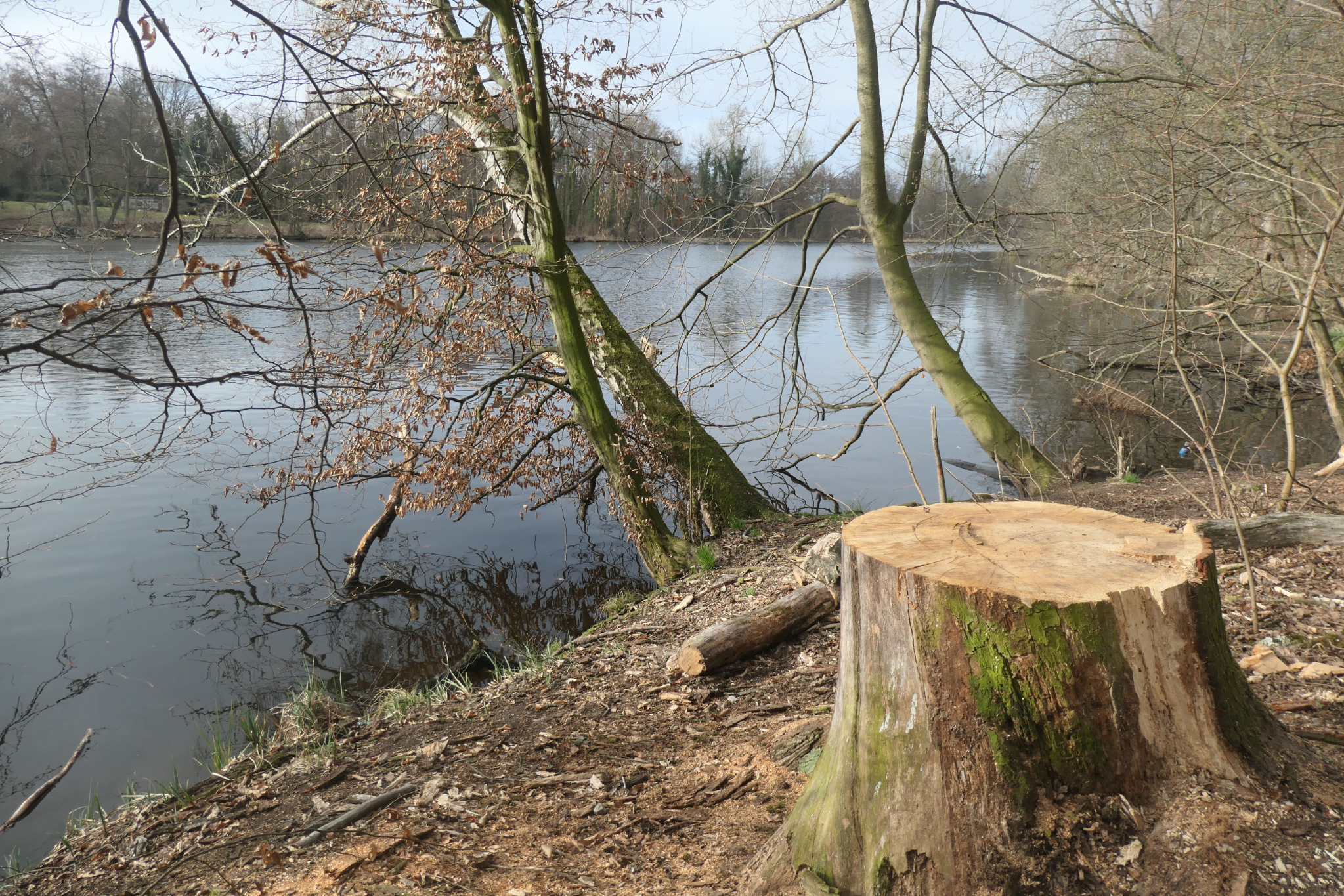 Teltow 06