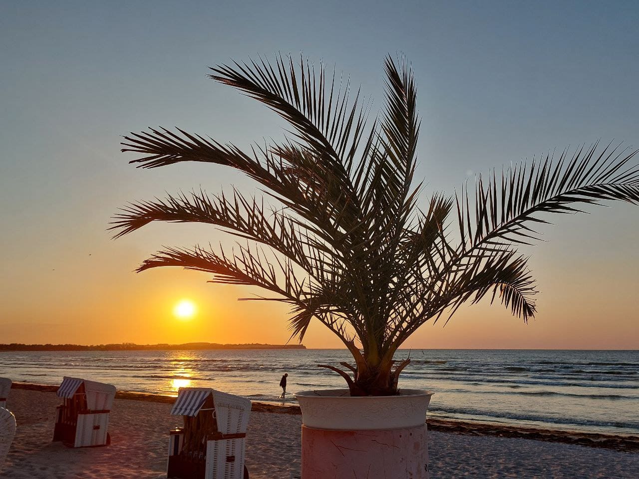 Photo 2023 06 13 19 03 04