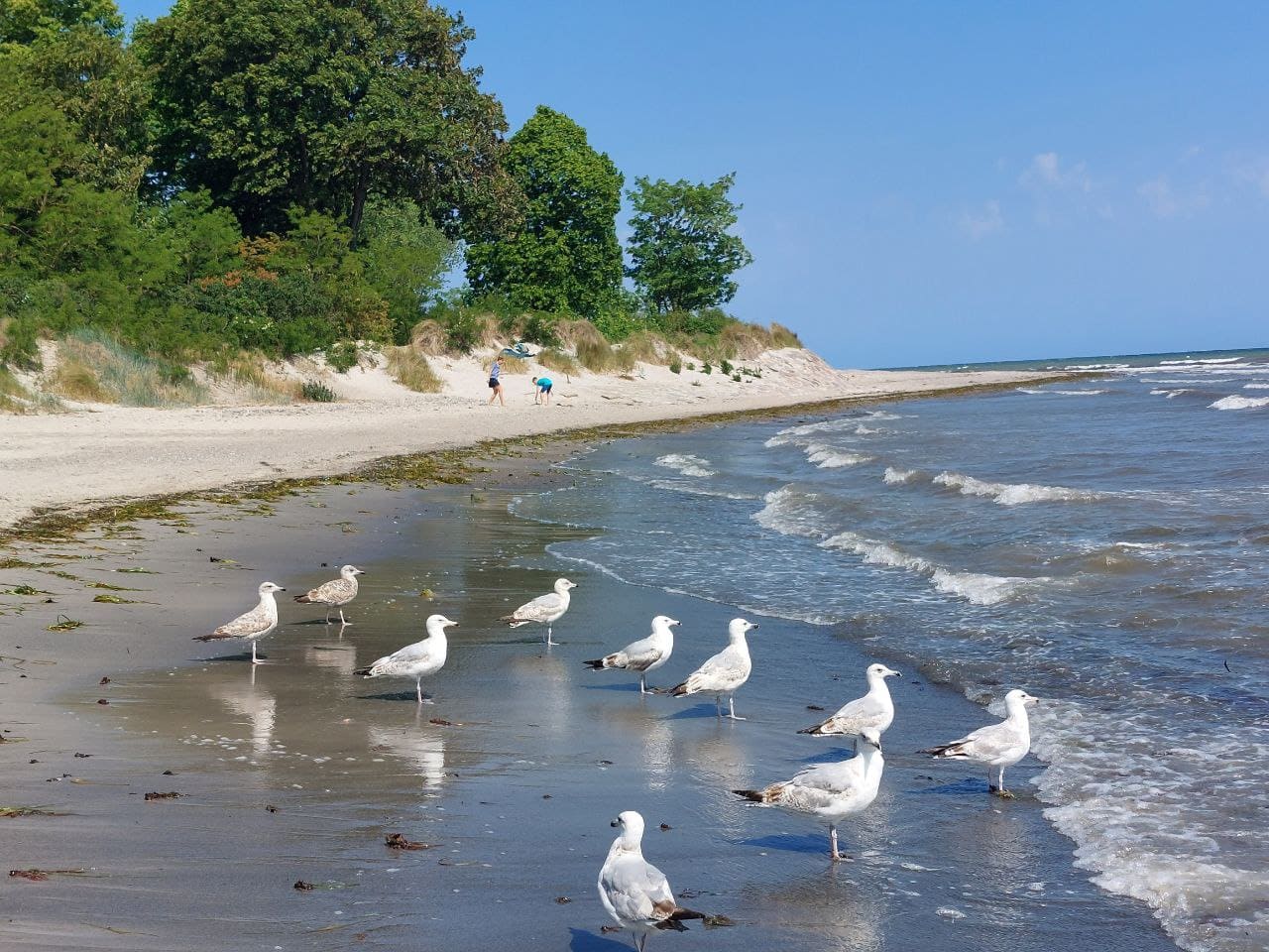 Photo 2023 06 13 19 08 05