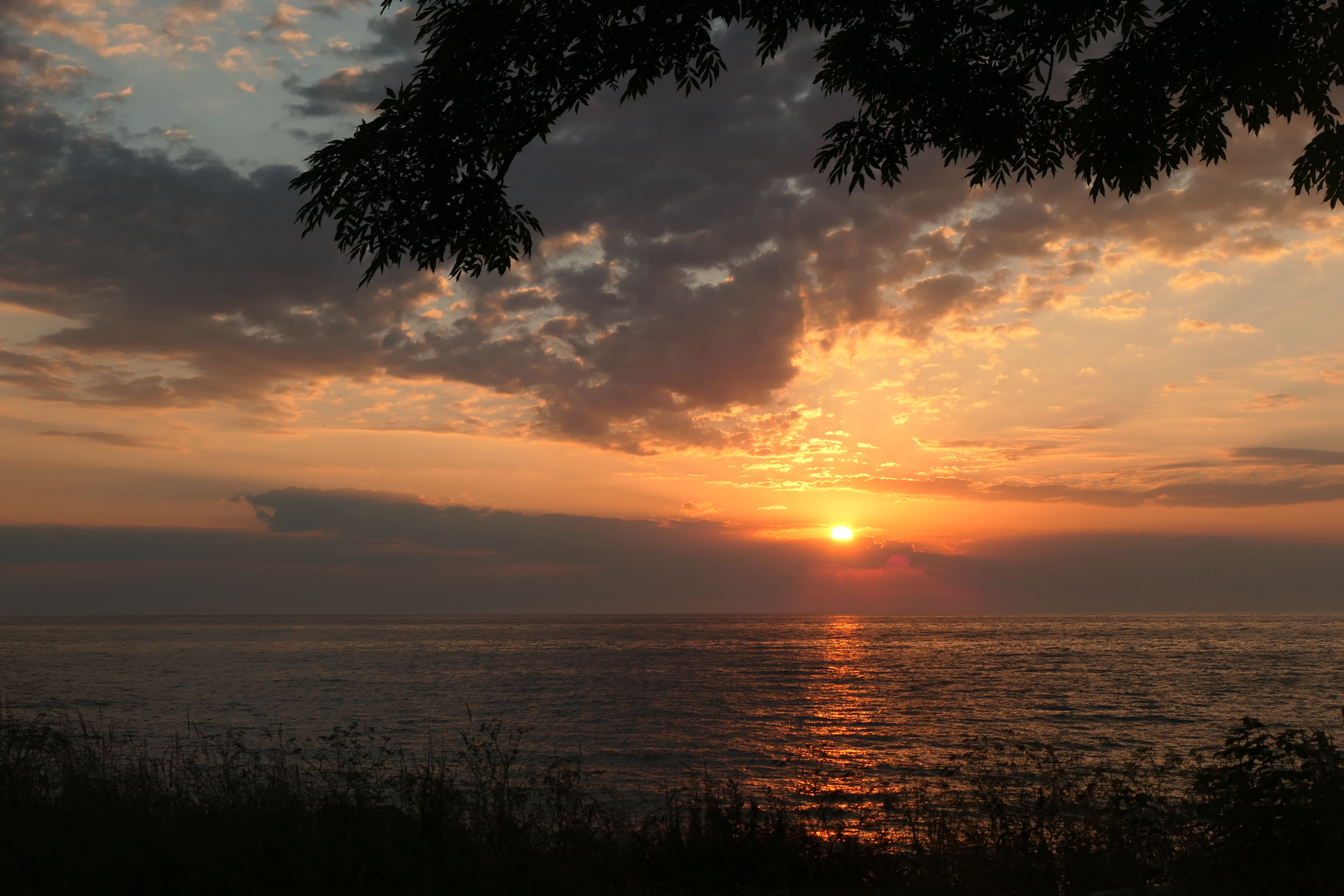 P1009448