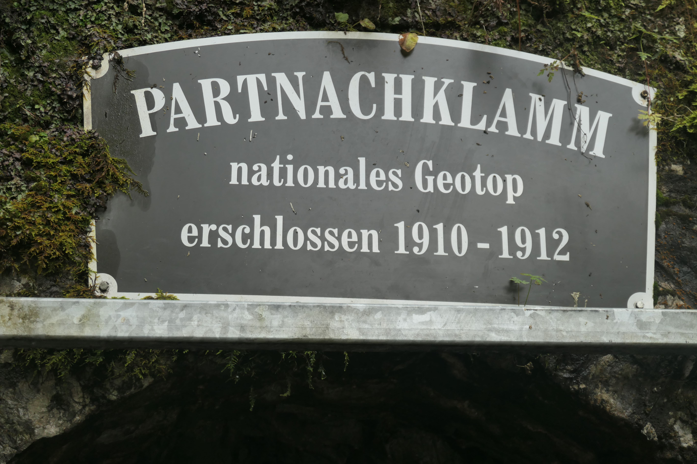 Greinau 20