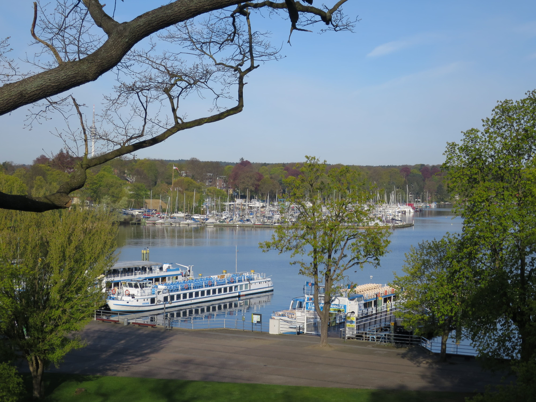 Grunewald 01