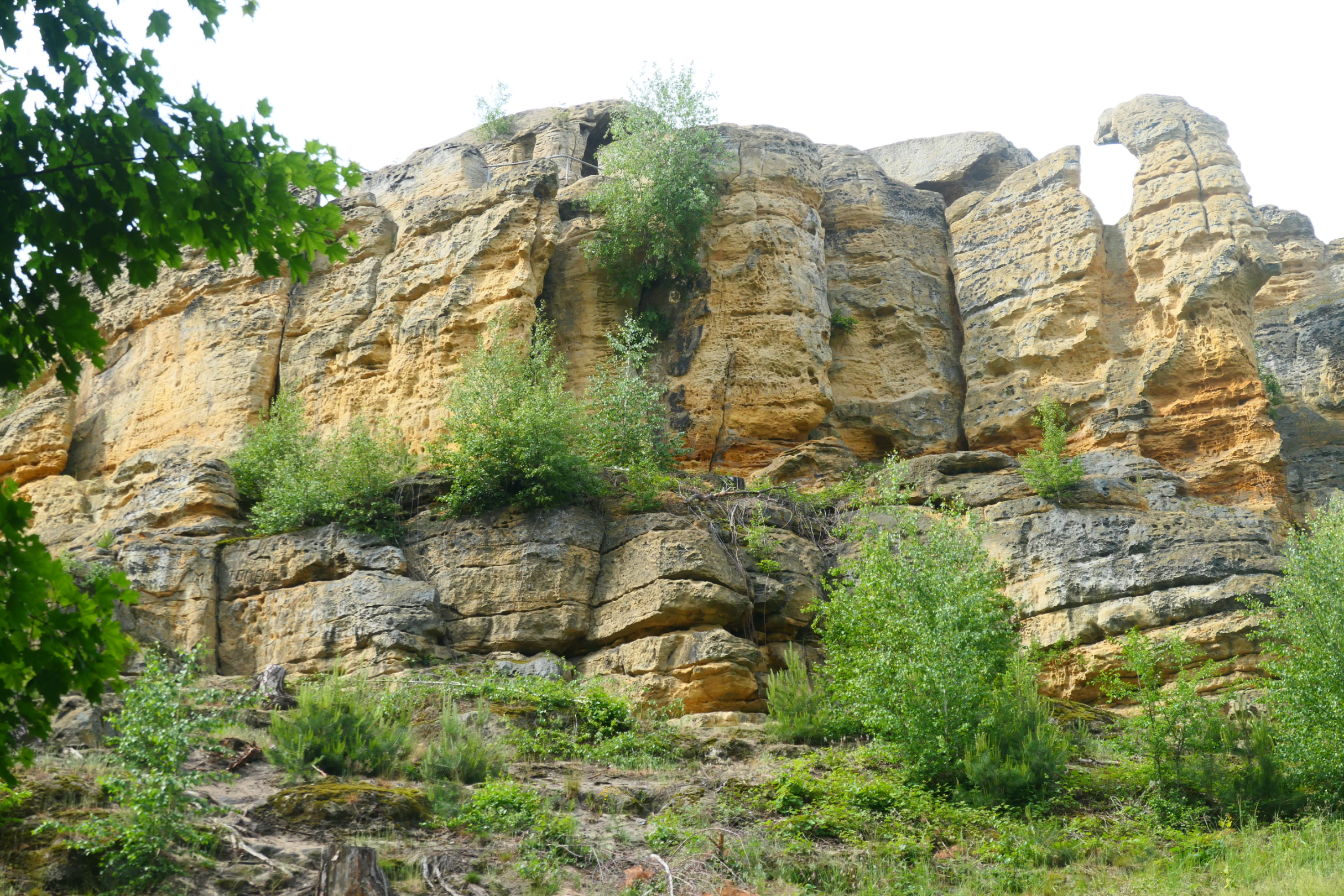 Halberstadt 15
