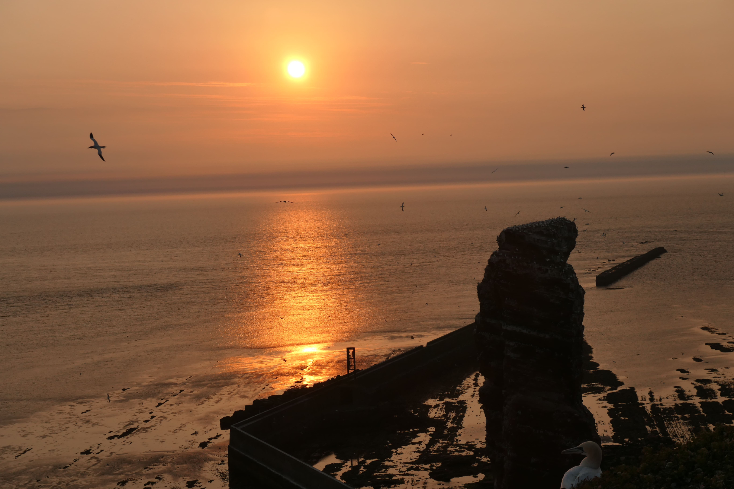 Helgoland 16