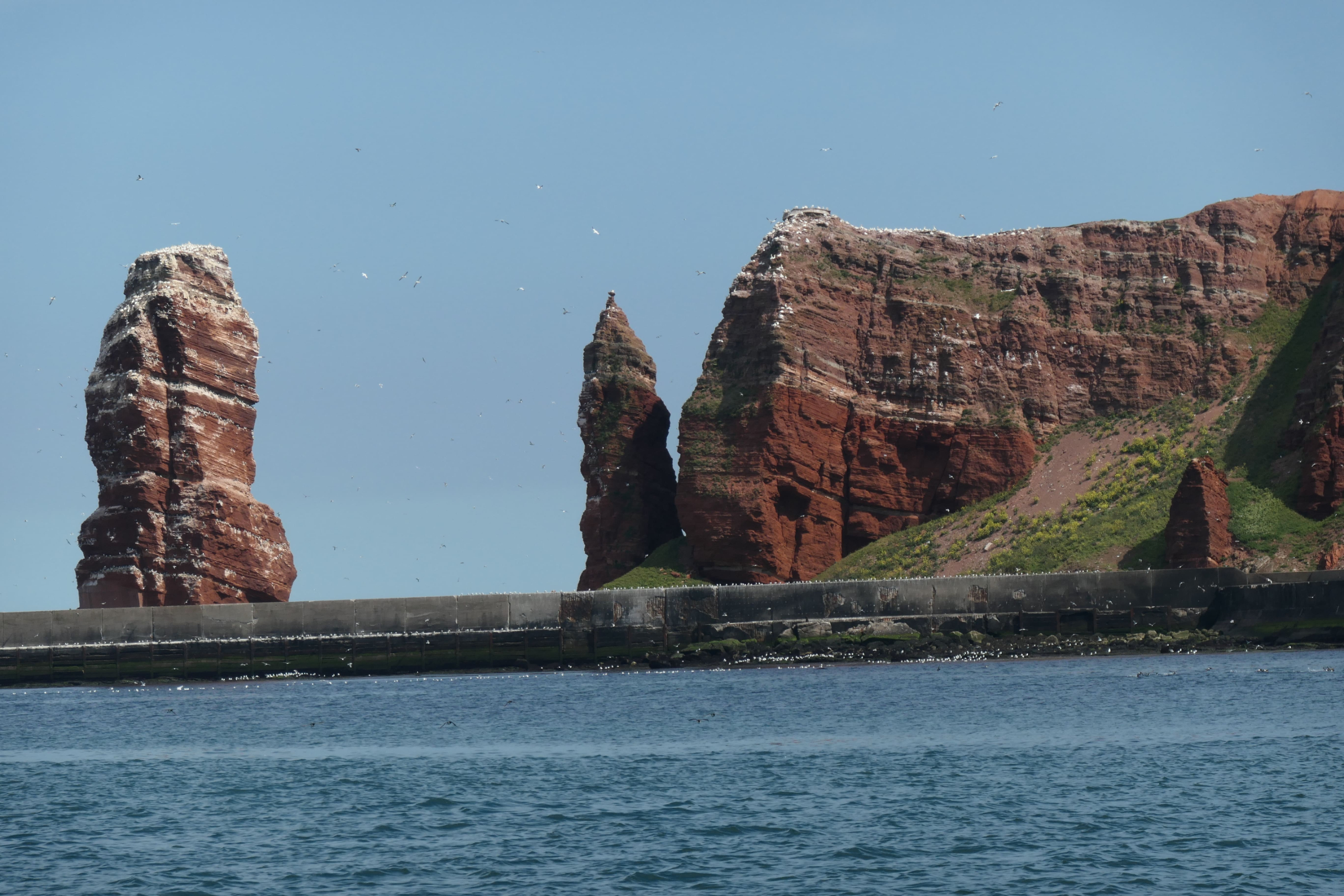 Helgoland 29