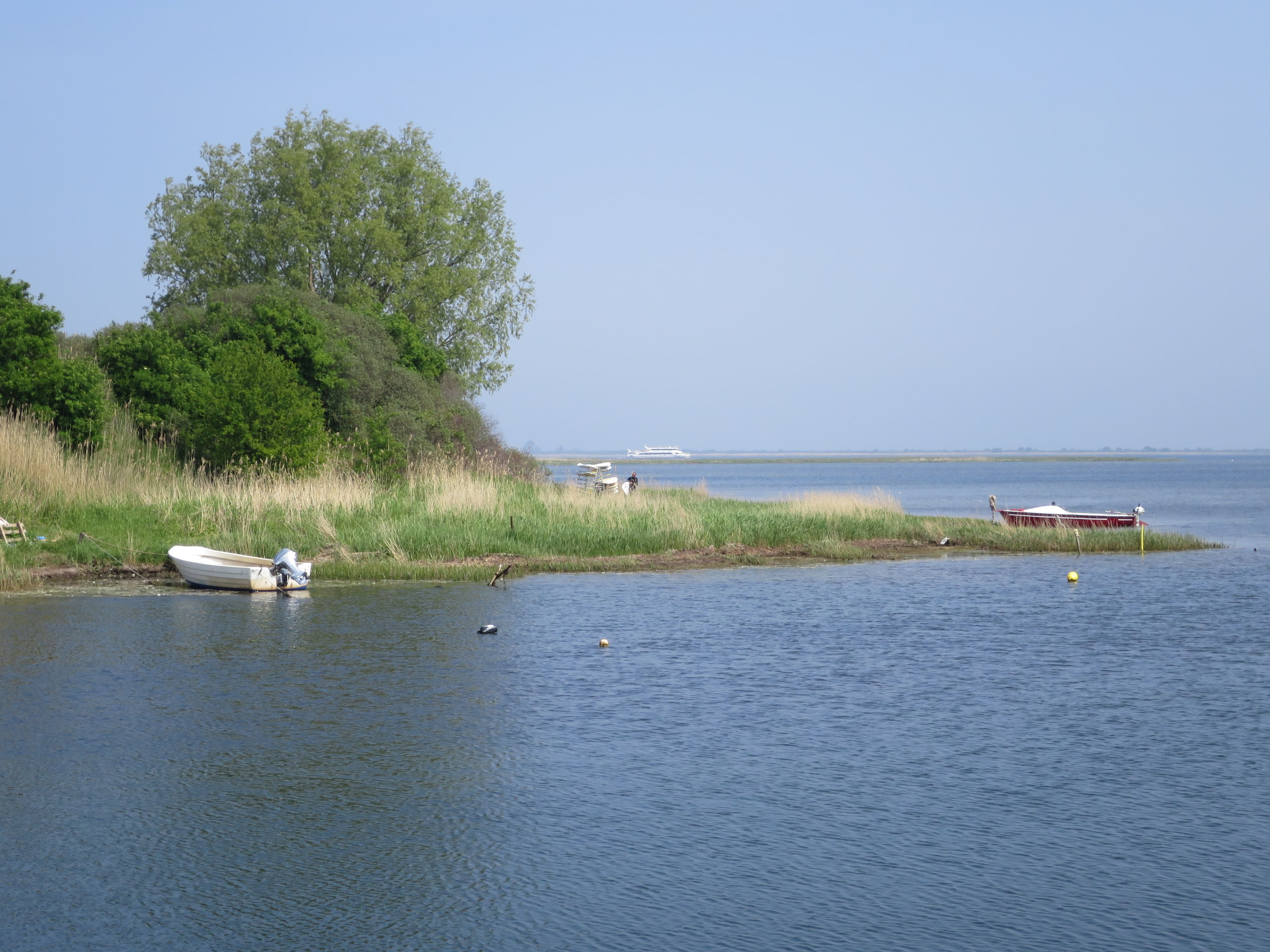 IMG 4733