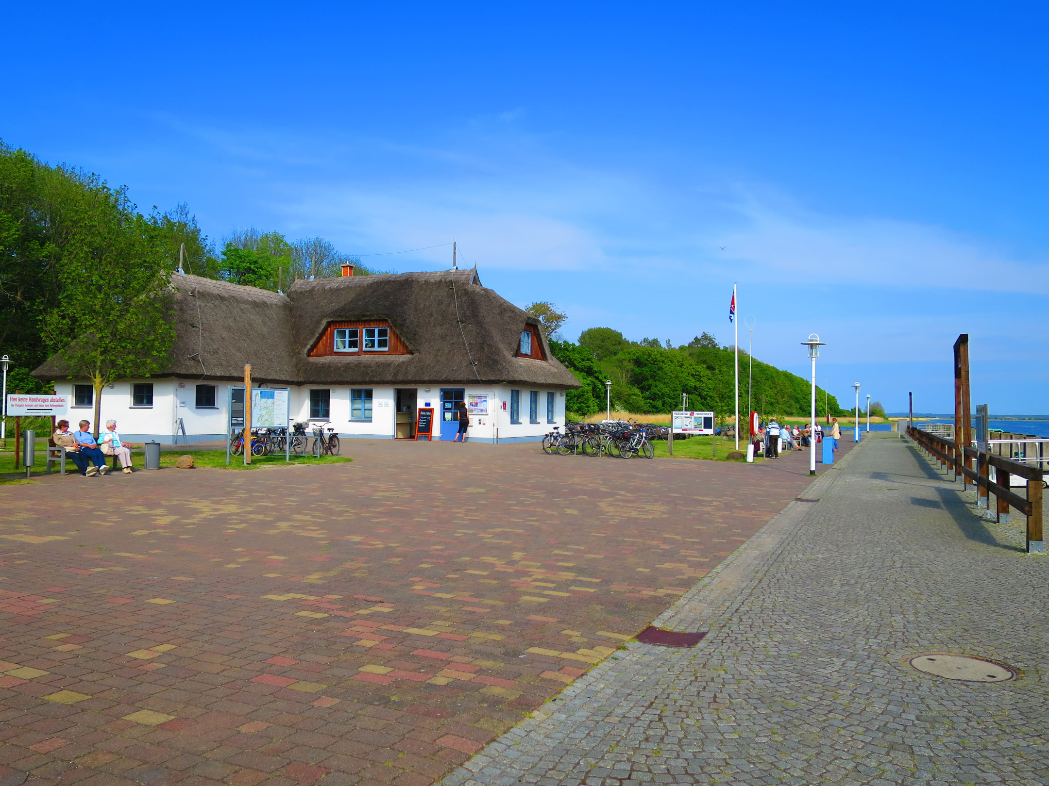IMG 4989