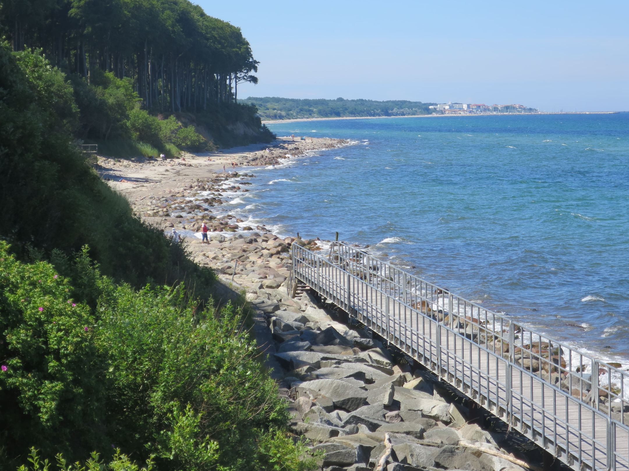 Rostock 31