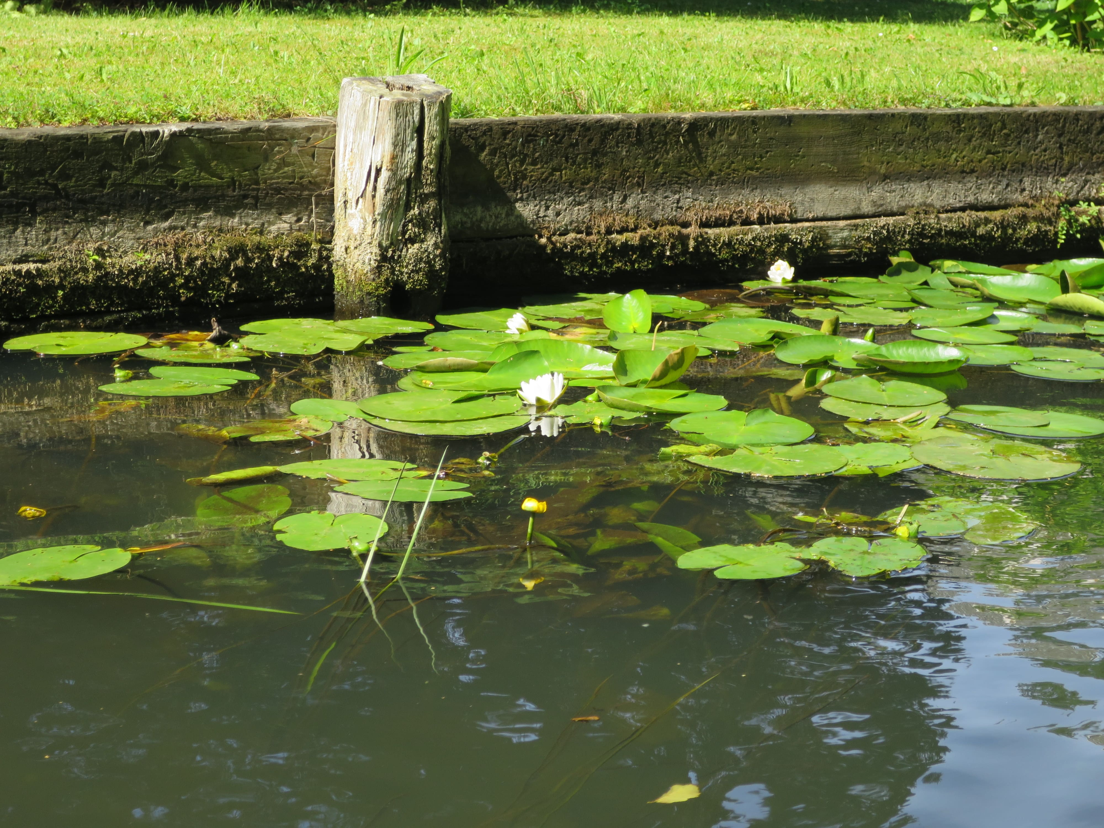 Spreewald 01