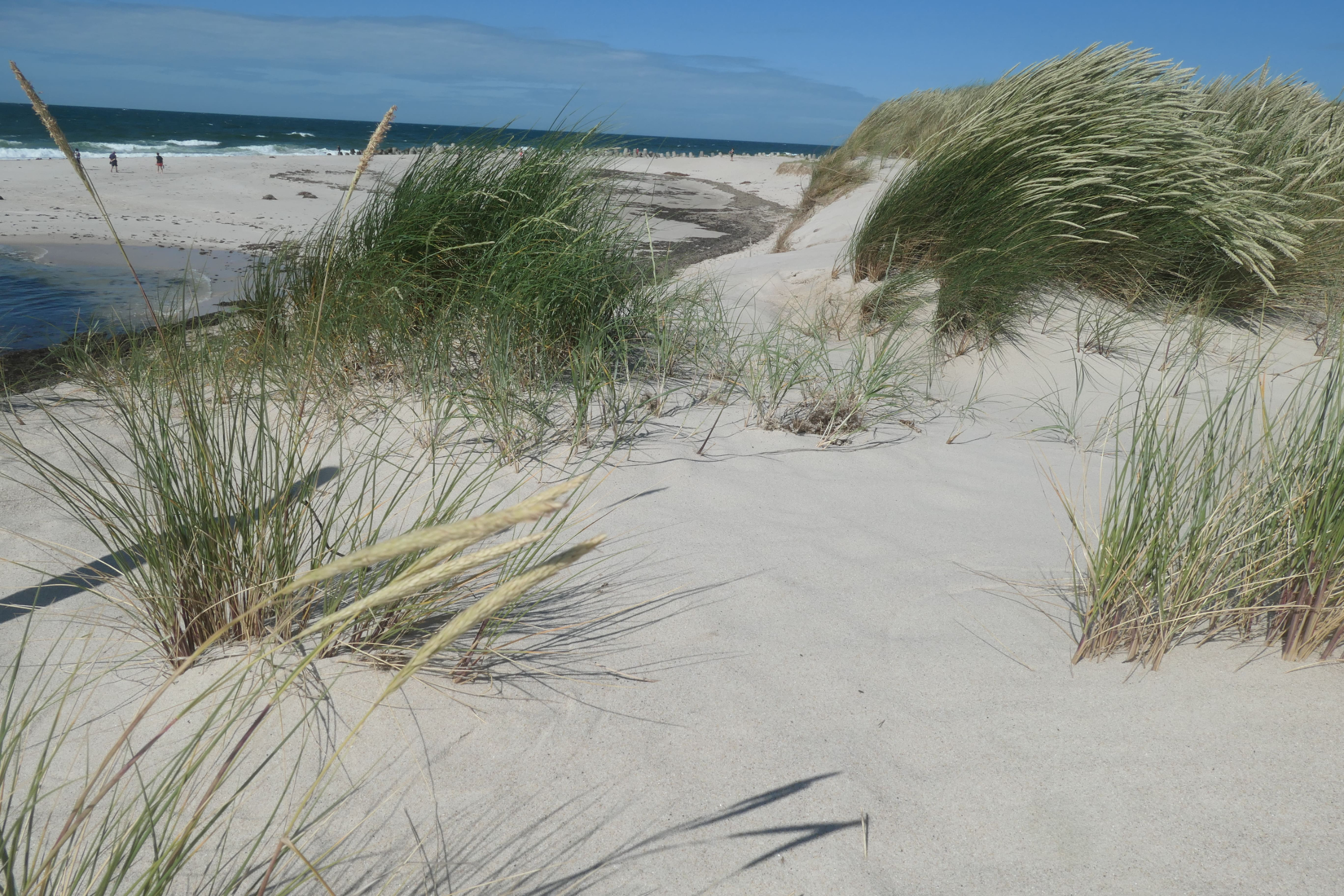Sylt 2021 22