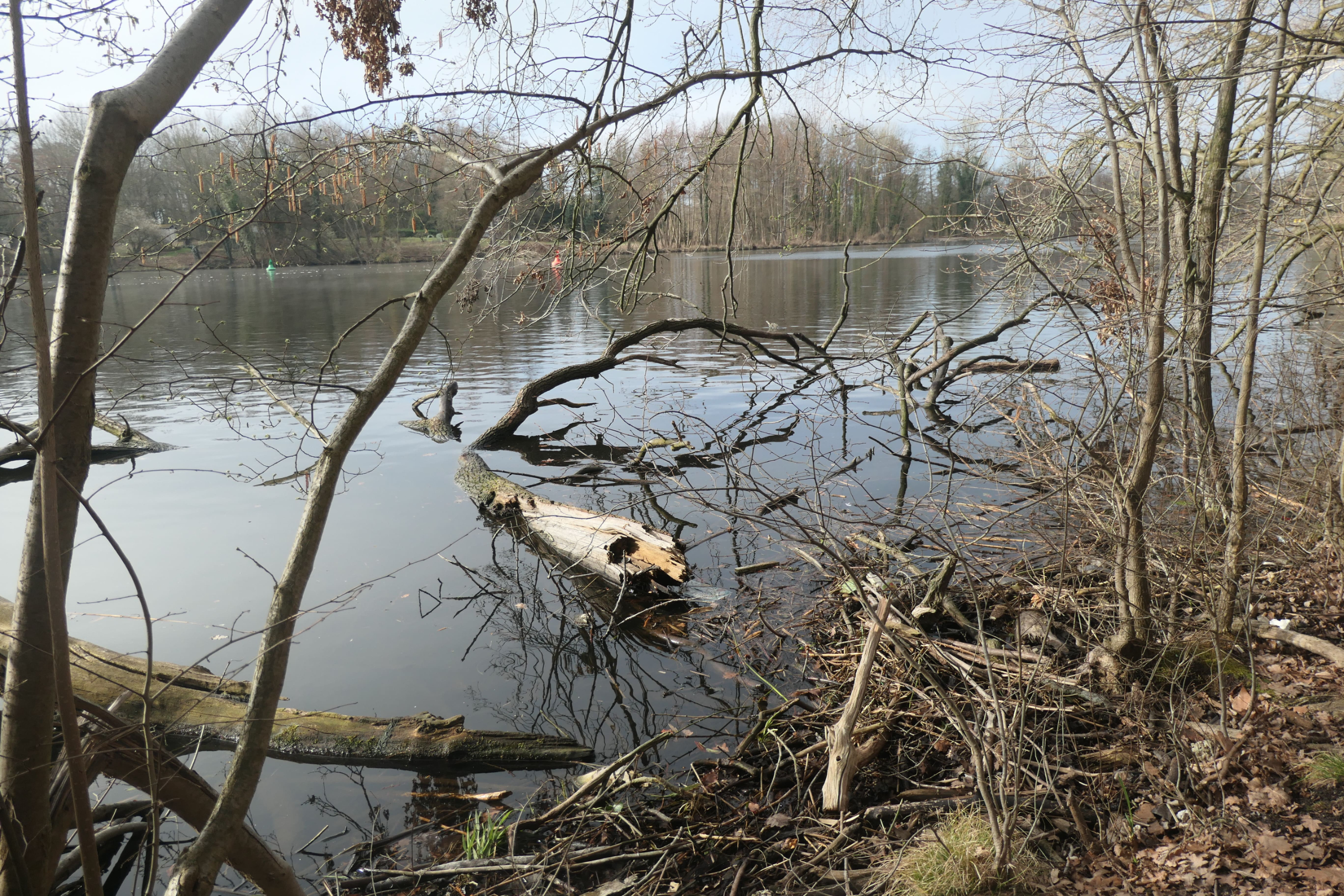 Teltow 05