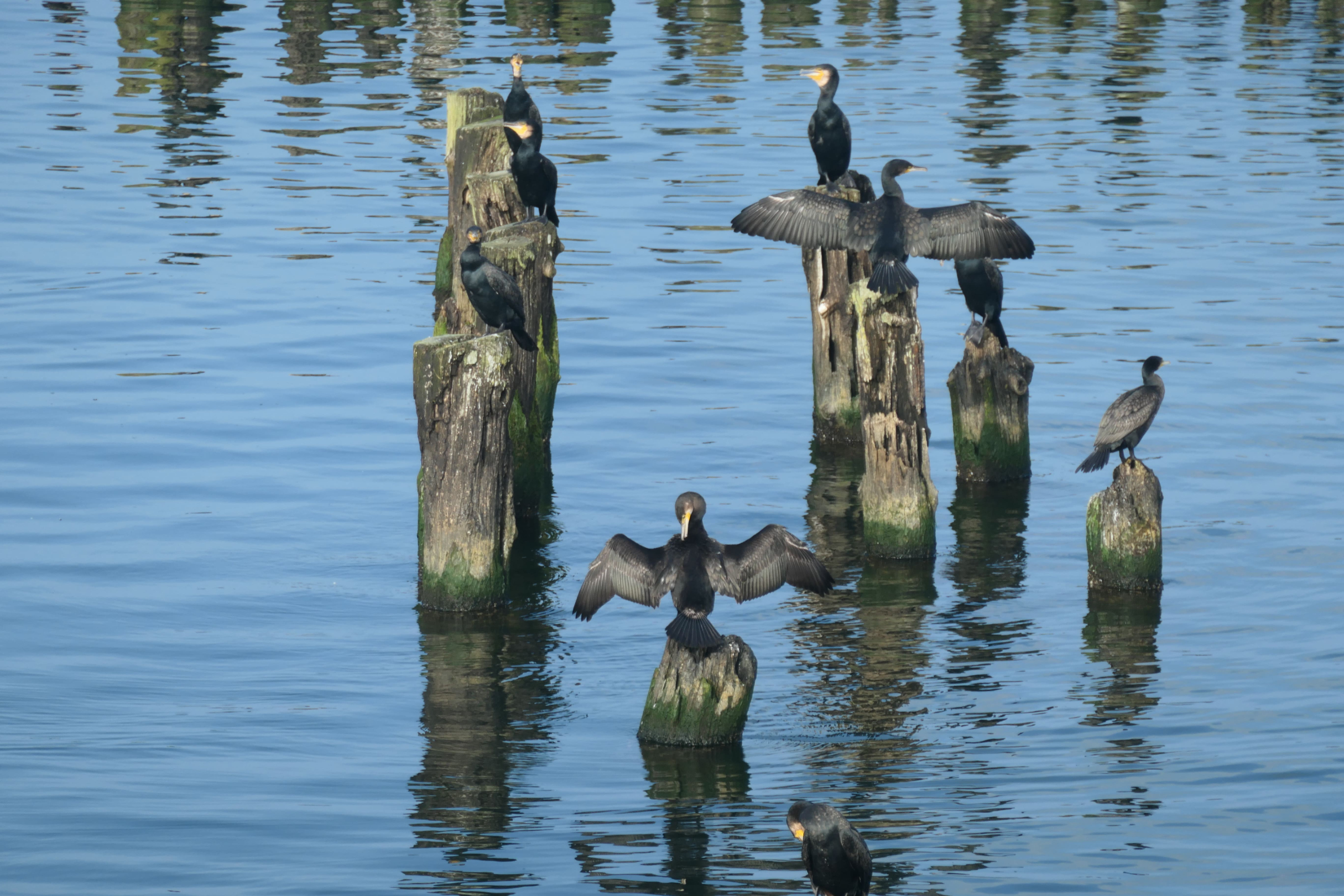 Usedom 23