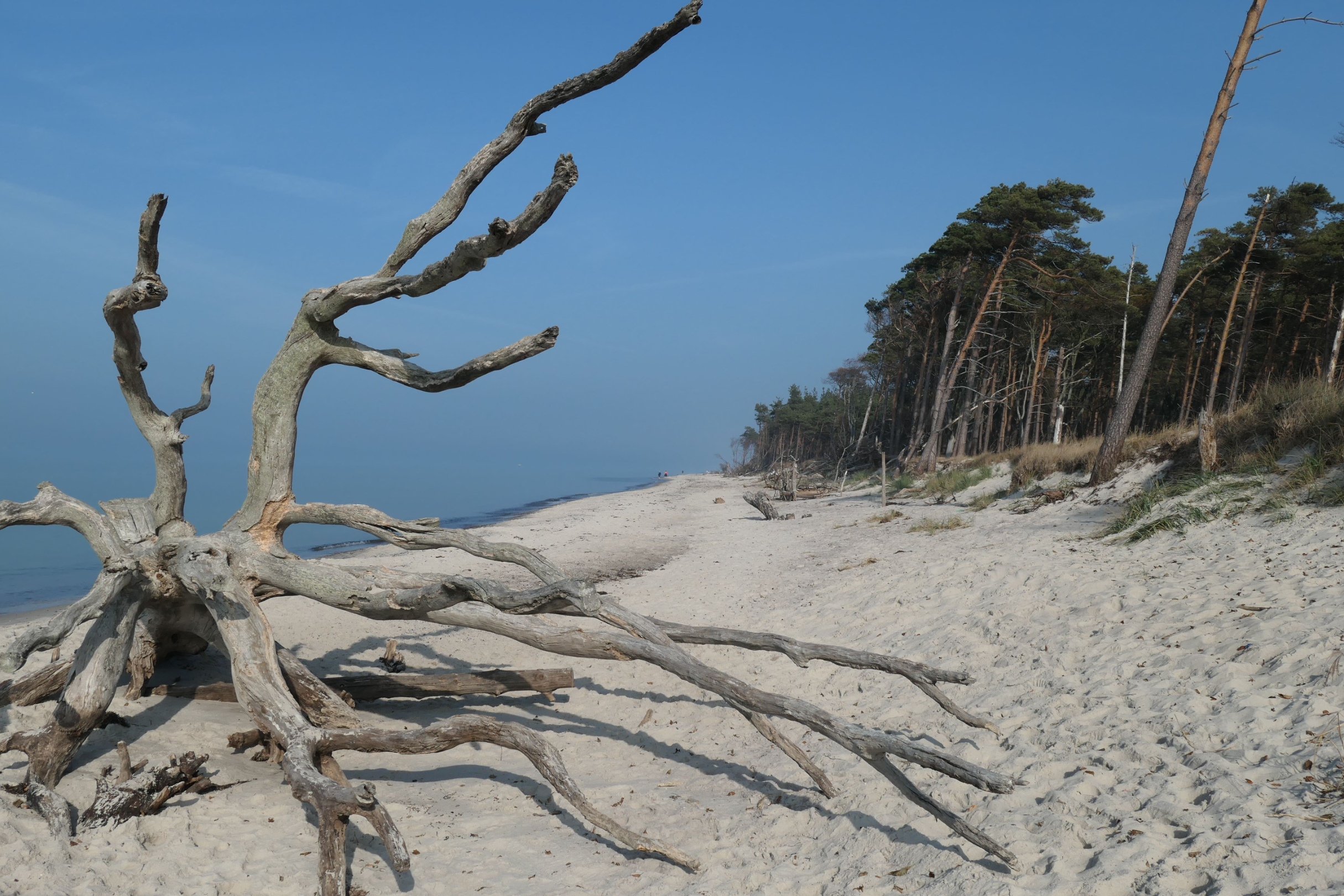 Zingst 23