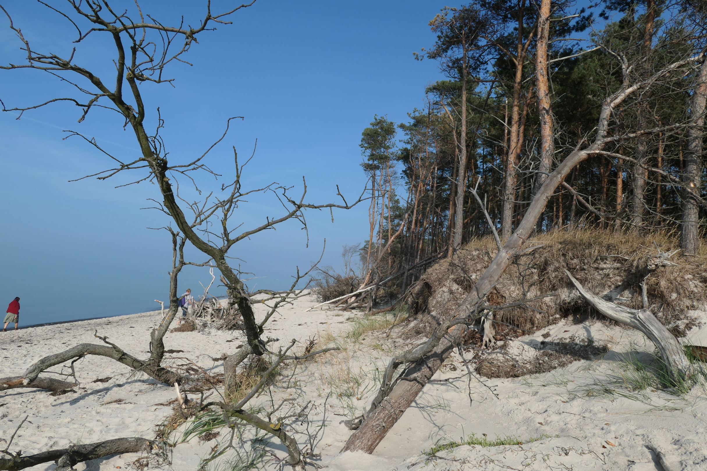 Zingst 24