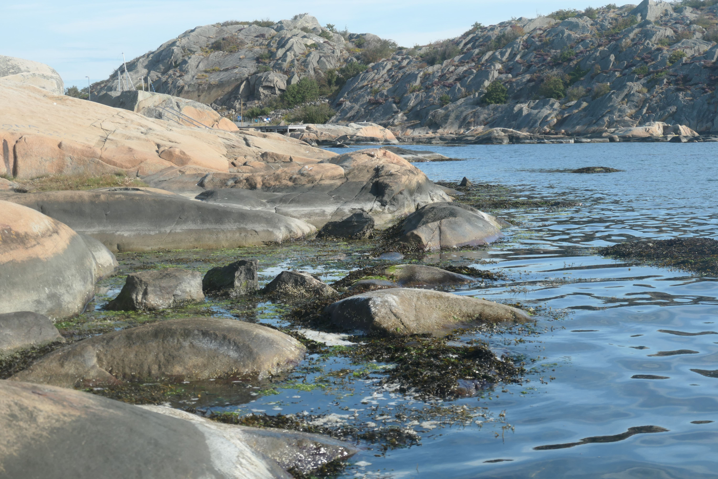 Göteborg 13